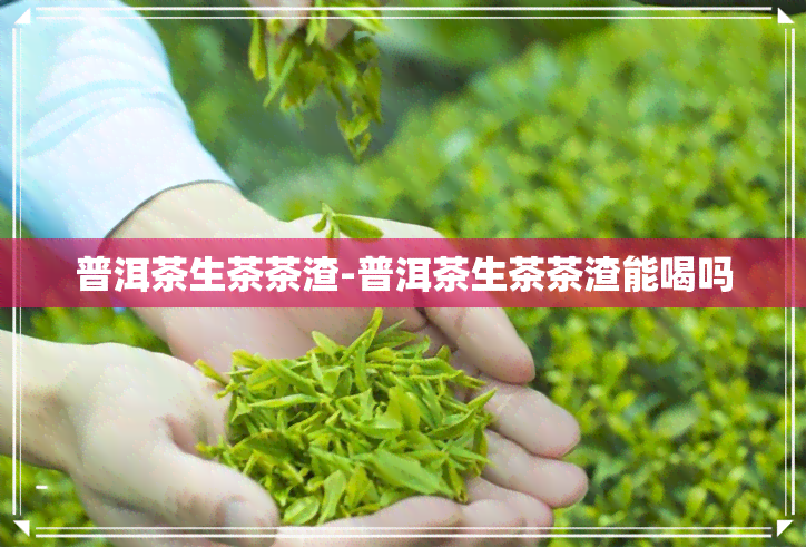 普洱茶生茶茶渣-普洱茶生茶茶渣能喝吗