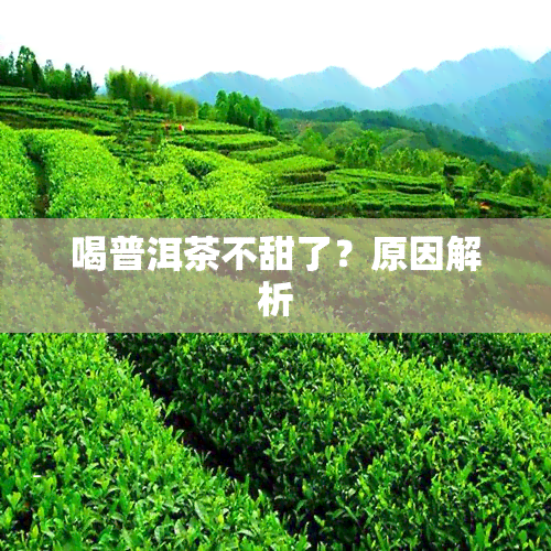 喝普洱茶不甜了？原因解析