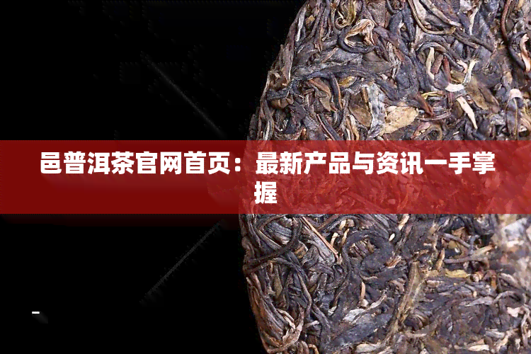 邑普洱茶官网首页：最新产品与资讯一手掌握