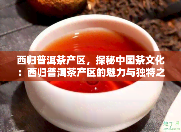 西归普洱茶产区，探秘中国茶文化：西归普洱茶产区的魅力与独特之处