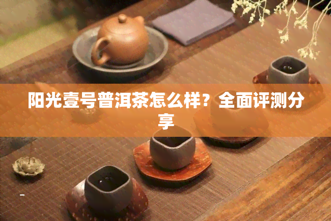 阳光壹号普洱茶怎么样？全面评测分享