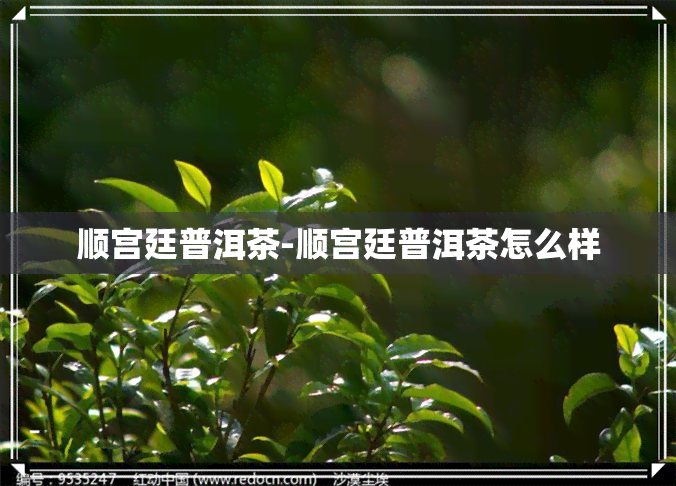 顺宫廷普洱茶-顺宫廷普洱茶怎么样