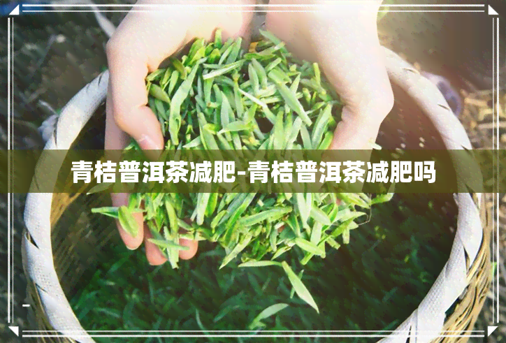 青桔普洱茶减肥-青桔普洱茶减肥吗