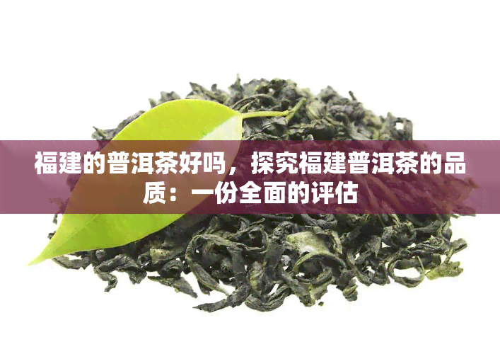 福建的普洱茶好吗，探究福建普洱茶的品质：一份全面的评估