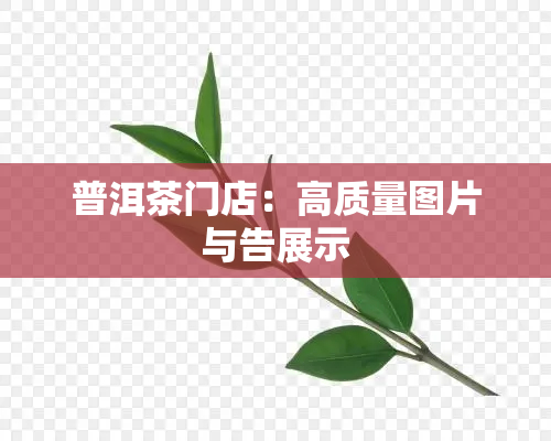 普洱茶门店：高质量图片与告展示