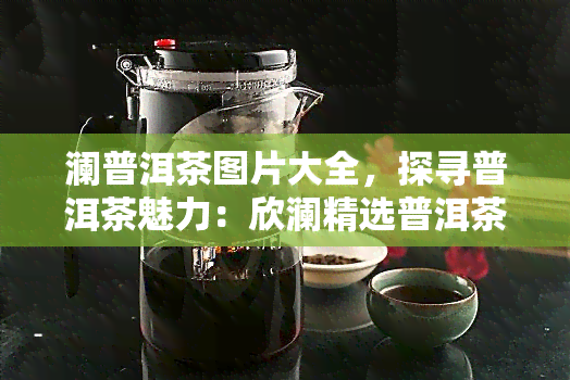 澜普洱茶图片大全，探寻普洱茶魅力：欣澜精选普洱茶图片大全