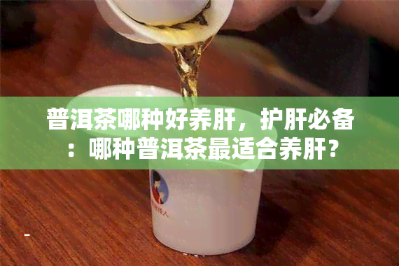 普洱茶哪种好养肝，护肝必备：哪种普洱茶最适合养肝？