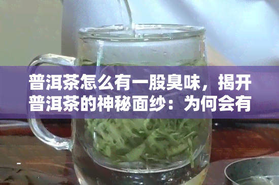 普洱茶怎么有一股臭味，揭开普洱茶的神秘面纱：为何会有独特的臭味？