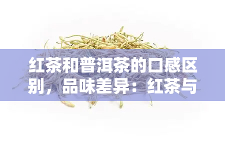 红茶和普洱茶的口感区别，品味差异：红茶与普洱茶的口感比较