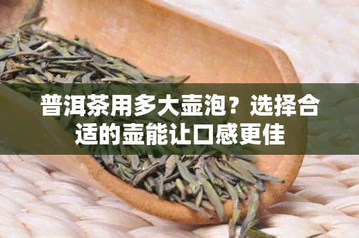 普洱茶用多大壶泡？选择合适的壶能让口感更佳