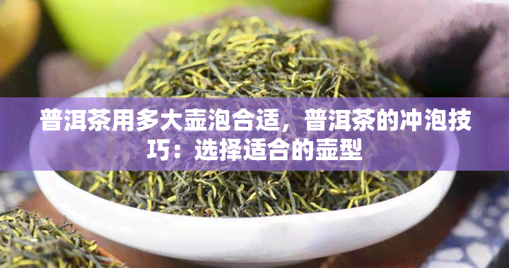 普洱茶用多大壶泡合适，普洱茶的冲泡技巧：选择适合的壶型