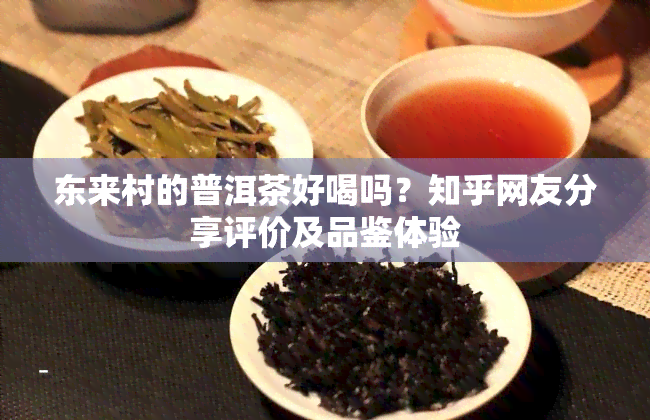 东来村的普洱茶好喝吗？知乎网友分享评价及品鉴体验