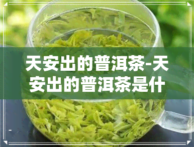 天安出的普洱茶-天安出的普洱茶是什么茶