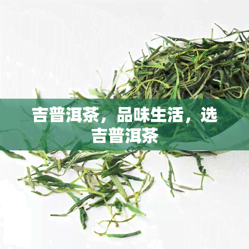 吉普洱茶，品味生活，选吉普洱茶