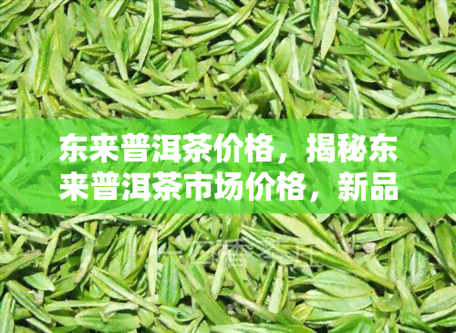 东来普洱茶价格，揭秘东来普洱茶市场价格，新品上市，值得期待！