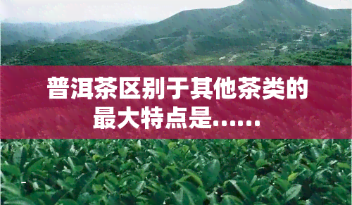 普洱茶区别于其他茶类的更大特点是……