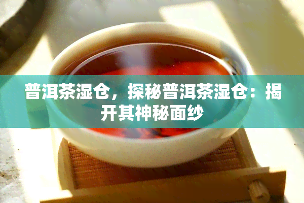 普洱茶湿仓，探秘普洱茶湿仓：揭开其神秘面纱