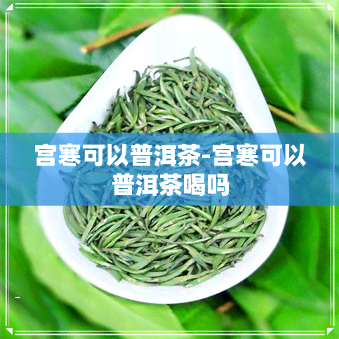 宫寒可以普洱茶-宫寒可以普洱茶喝吗