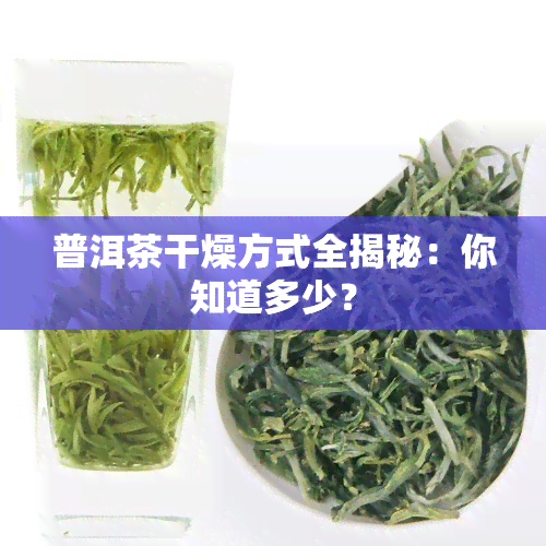 普洱茶干燥方式全揭秘：你知道多少？