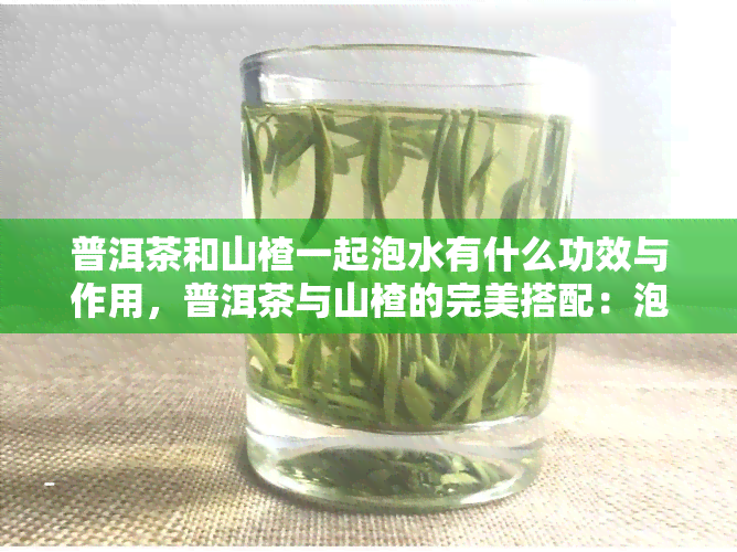 普洱茶和山楂一起泡水有什么功效与作用，普洱茶与山楂的完美搭配：泡水喝有哪些神奇功效？