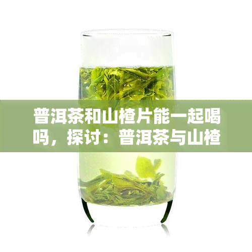 普洱茶和山楂片能一起喝吗，探讨：普洱茶与山楂片能否同时饮用？