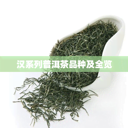 汉系列普洱茶品种及全览