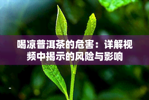 喝凉普洱茶的危害：详解视频中揭示的风险与影响