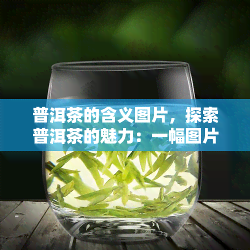 普洱茶的含义图片，探索普洱茶的魅力：一幅图片带你了解这种独特的中国茶叶