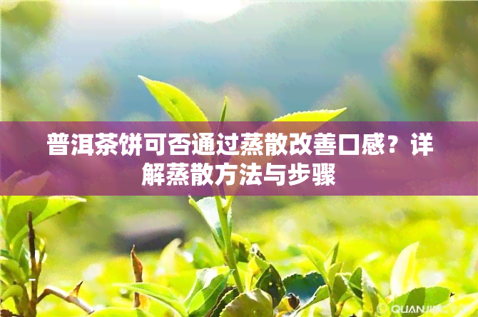 普洱茶饼可否通过蒸散改善口感？详解蒸散方法与步骤