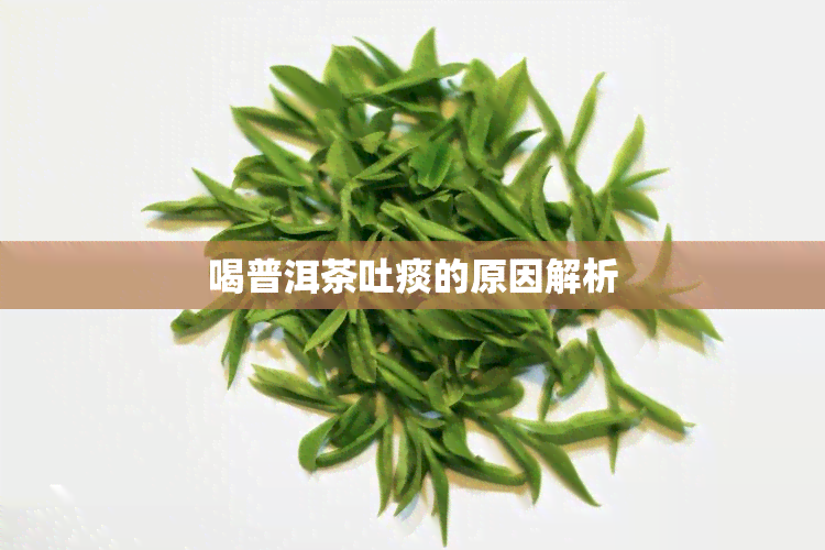 喝普洱茶吐痰的原因解析