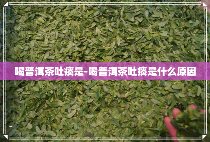 喝普洱茶吐痰是-喝普洱茶吐痰是什么原因