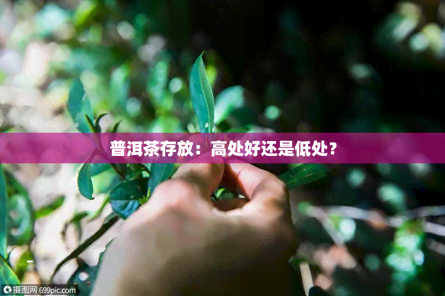 普洱茶存放：高处好还是低处？