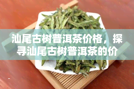 汕尾古树普洱茶价格，探寻汕尾古树普洱茶的价值：价格解析与品尝体验