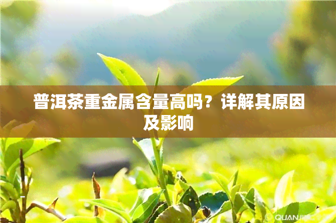 普洱茶重金属含量高吗？详解其原因及影响