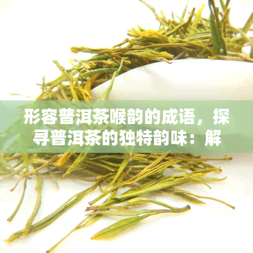 形容普洱茶喉韵的成语，探寻普洱茶的独特韵味：解析形容其喉韵的成语