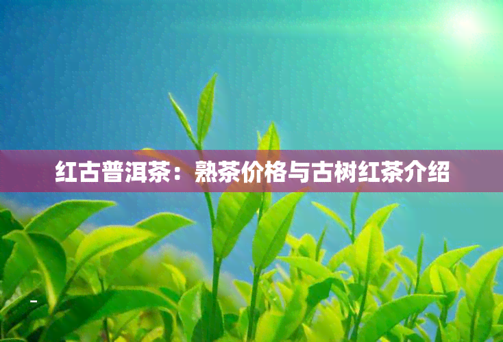 红古普洱茶：熟茶价格与古树红茶介绍