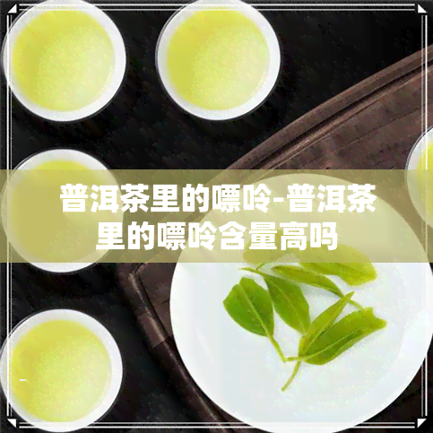 普洱茶里的嘌呤-普洱茶里的嘌呤含量高吗