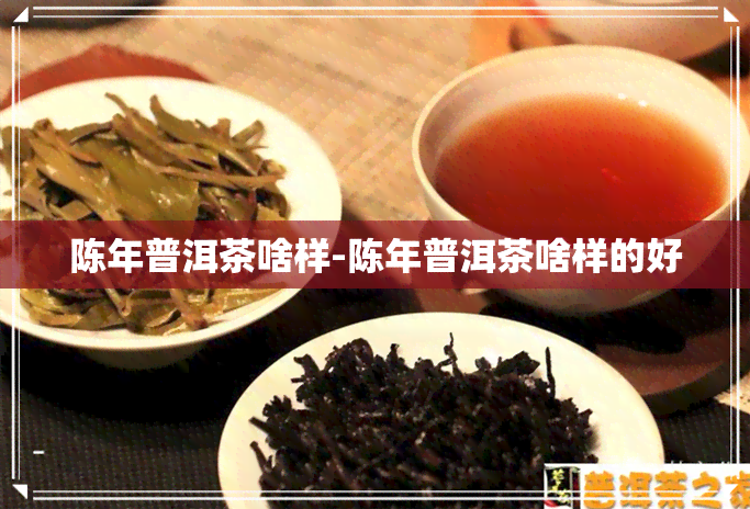 陈年普洱茶啥样-陈年普洱茶啥样的好