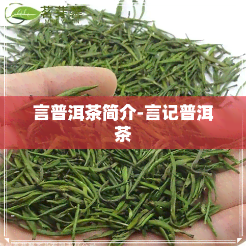 言普洱茶简介-言记普洱茶