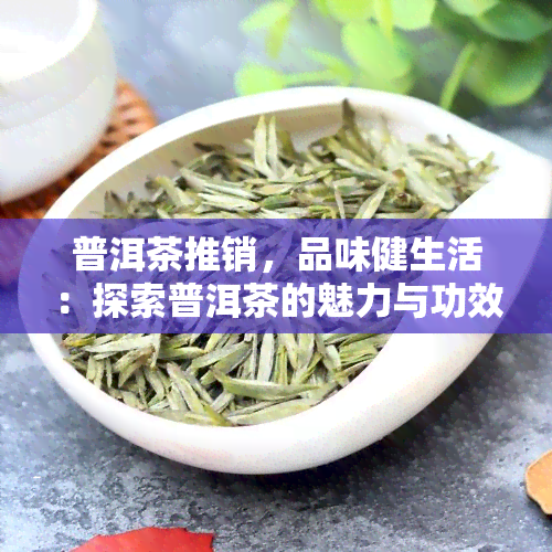 普洱茶推销，品味健生活：探索普洱茶的魅力与功效