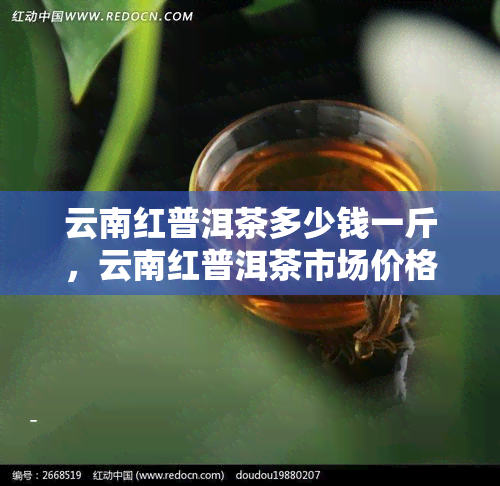 云南红普洱茶多少钱一斤，云南红普洱茶市场价格一览，每斤价格多少？