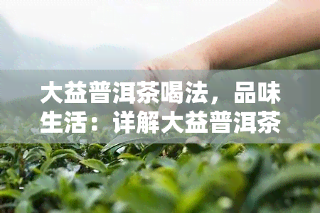 大益普洱茶喝法，品味生活：详解大益普洱茶的正确喝法