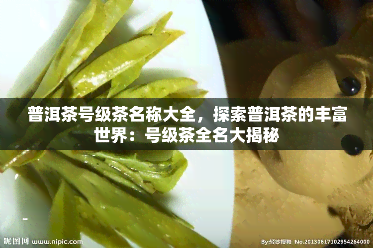 普洱茶号级茶名称大全，探索普洱茶的丰富世界：号级茶全名大揭秘