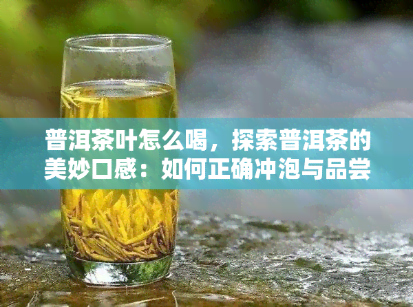 普洱茶叶怎么喝，探索普洱茶的美妙口感：如何正确冲泡与品尝？