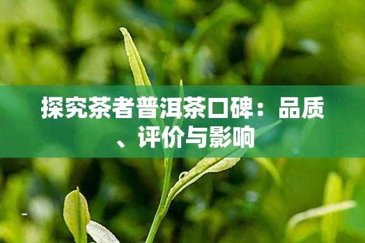 探究茶者普洱茶口碑：品质、评价与影响