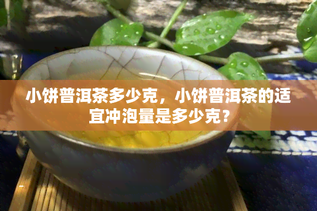 小饼普洱茶多少克，小饼普洱茶的适宜冲泡量是多少克？