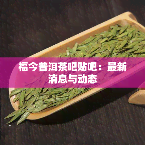 福今普洱茶吧贴吧：最新消息与动态