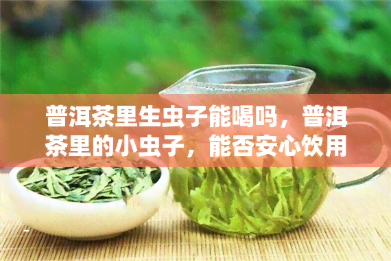 普洱茶里生虫子能喝吗，普洱茶里的小虫子，能否安心饮用？