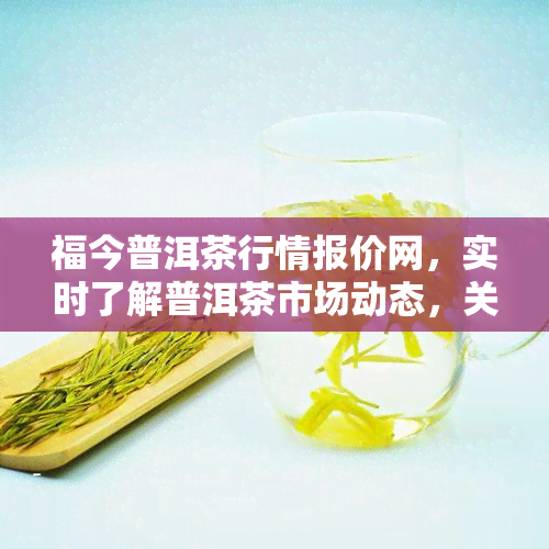 福今普洱茶行情报价网，实时了解普洱茶市场动态，关注福今普洱茶行情报价网！