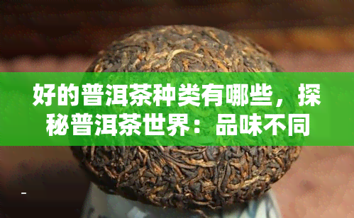 好的普洱茶种类有哪些，探秘普洱茶世界：品味不同种类的优质普洱茶